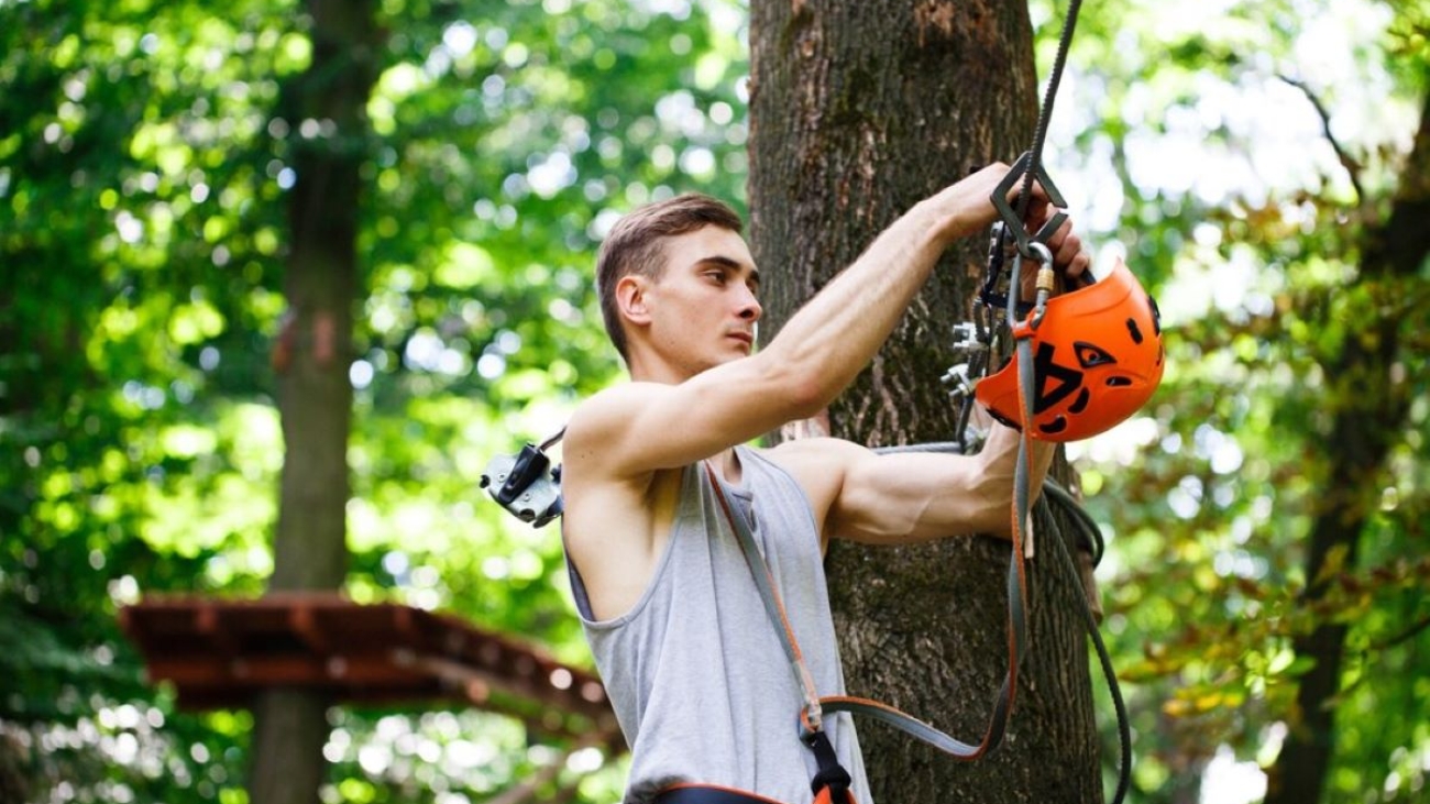 Proper tree pruning