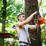 Proper tree pruning