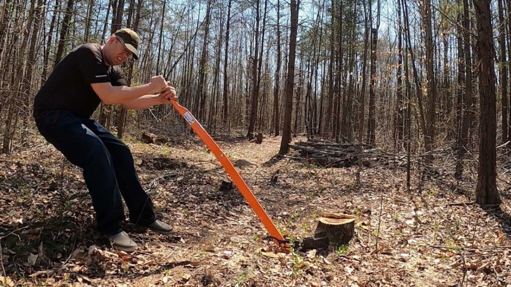 emergency stump removal