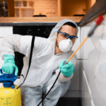 Termite Control Services